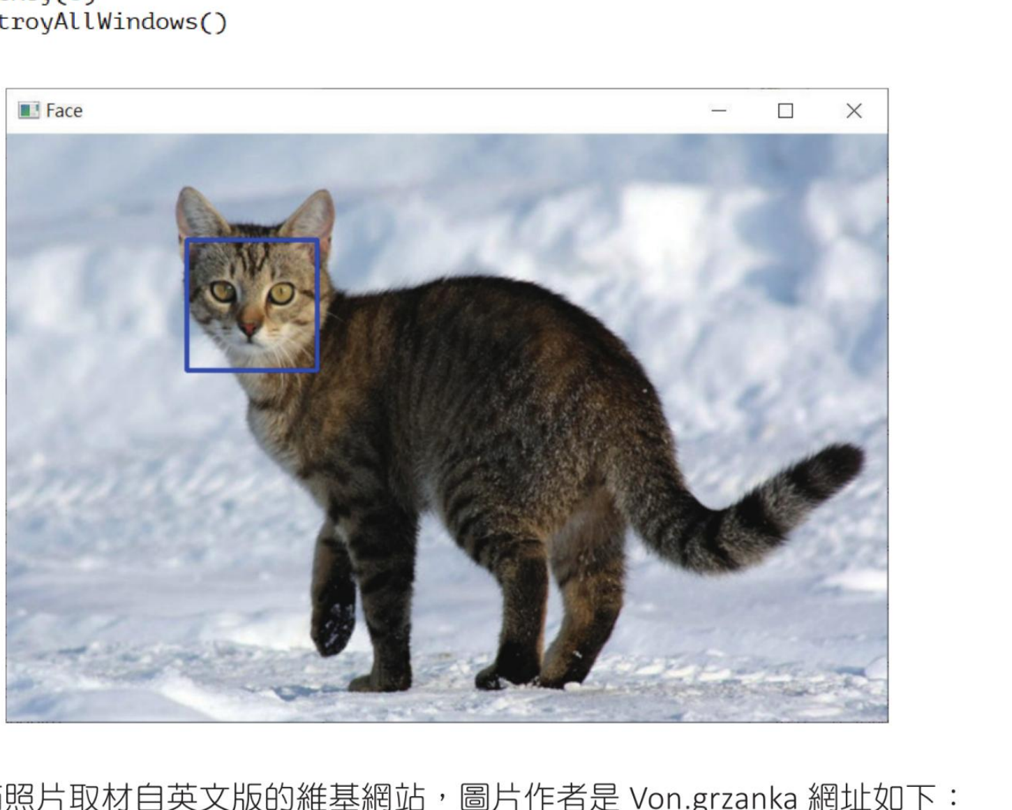 ch27_15.py 侦测单只猫脸
