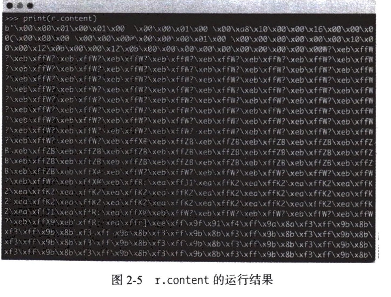 图2-5 r.content 的运行结果